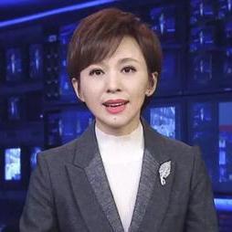 欧阳夏丹最新爆料新闻联播,新闻联播最新爆料背后的故事